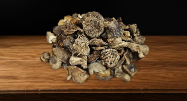 Champignon Sec ps